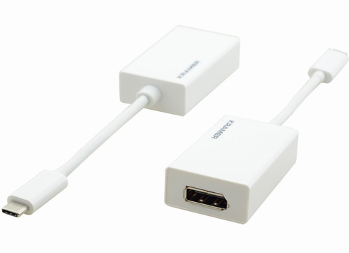 DisplayPort cable Type-C to DisplayPort female